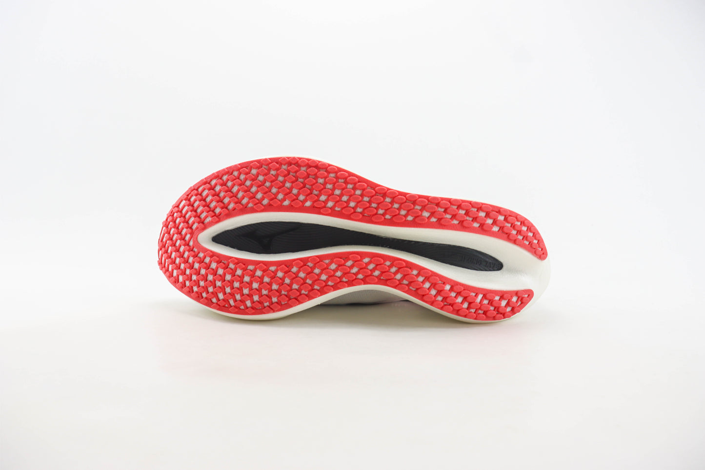 Mizuno Wave Rebellion Pro 2