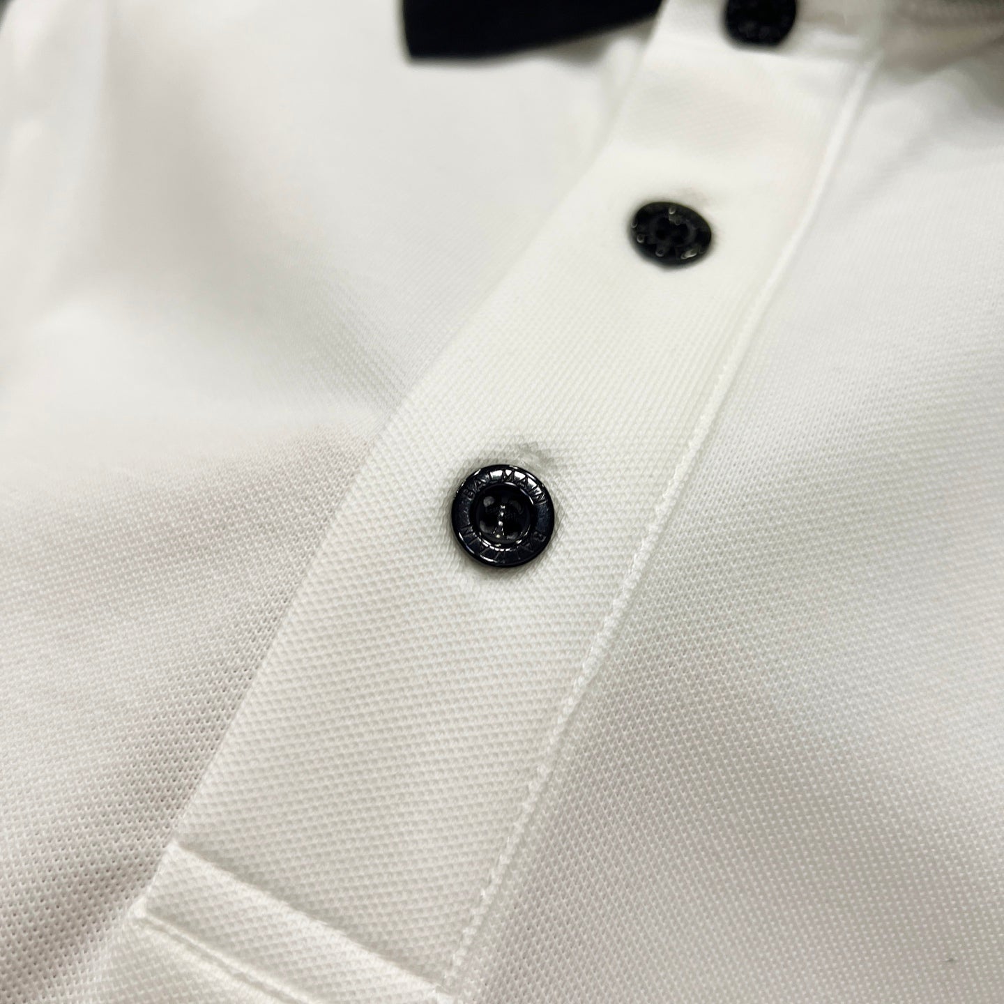 Polo Balmain