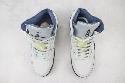 Air Jordan AJ5