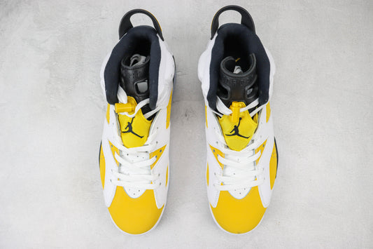 Air Jordan AJ6 Retro
