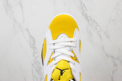 Air Jordan AJ6 Retro