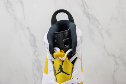 Air Jordan AJ6 Retro