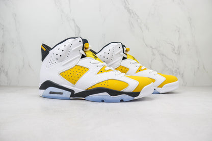 Air Jordan AJ6 Retro